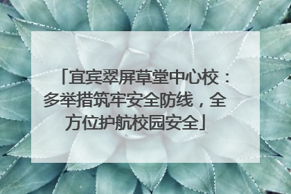 宜宾翠屏草堂中心校：多举措筑牢安全防线，全方位护航校园安全